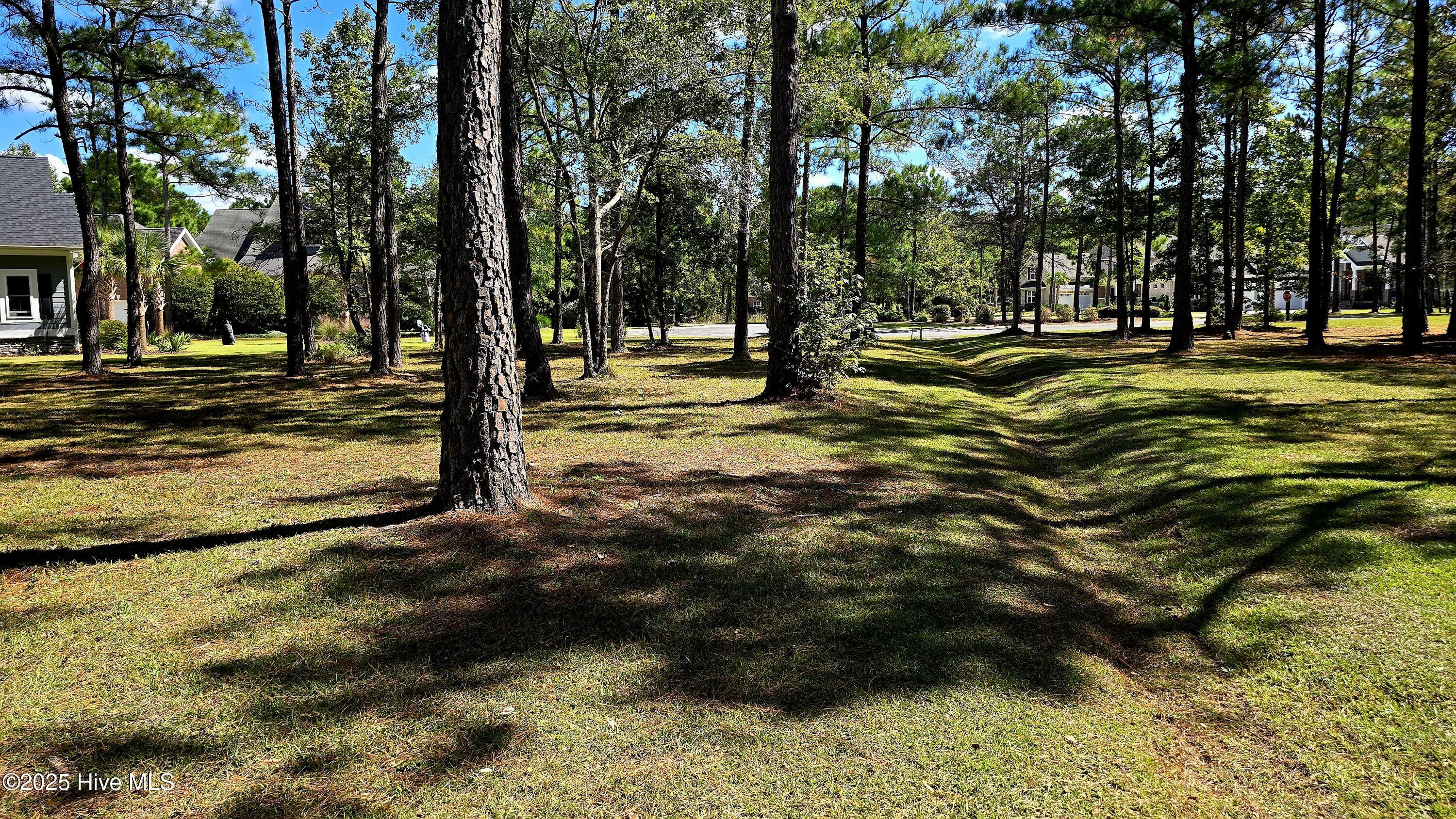 503 Cromwell Notch Southwest Ocean Isle Beach, NC 28469 - Photo 4 of 16 View of the lot.