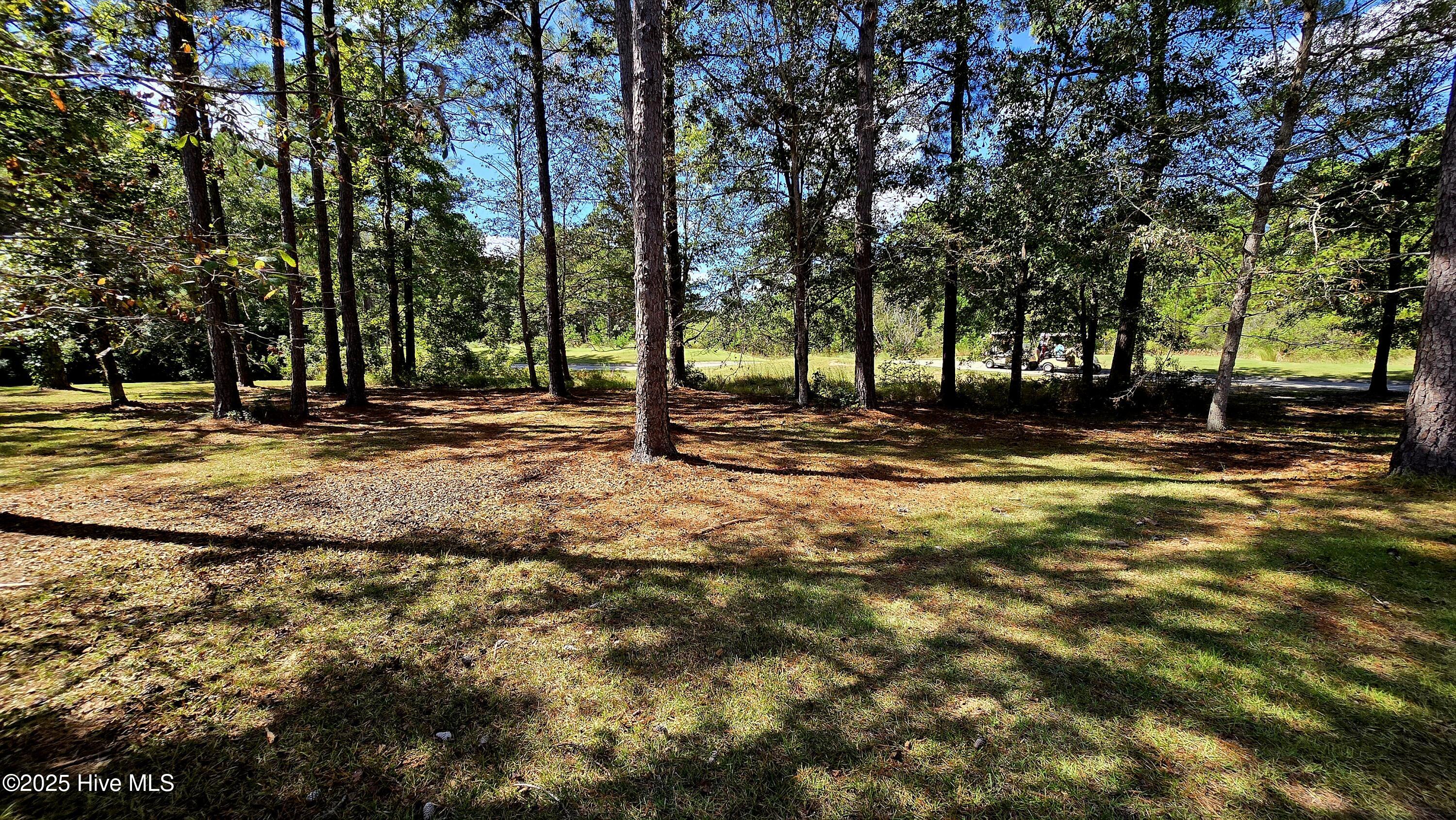 503 Cromwell Notch Southwest Ocean Isle Beach, NC 28469 - Photo 5 of 16 View of the lot.