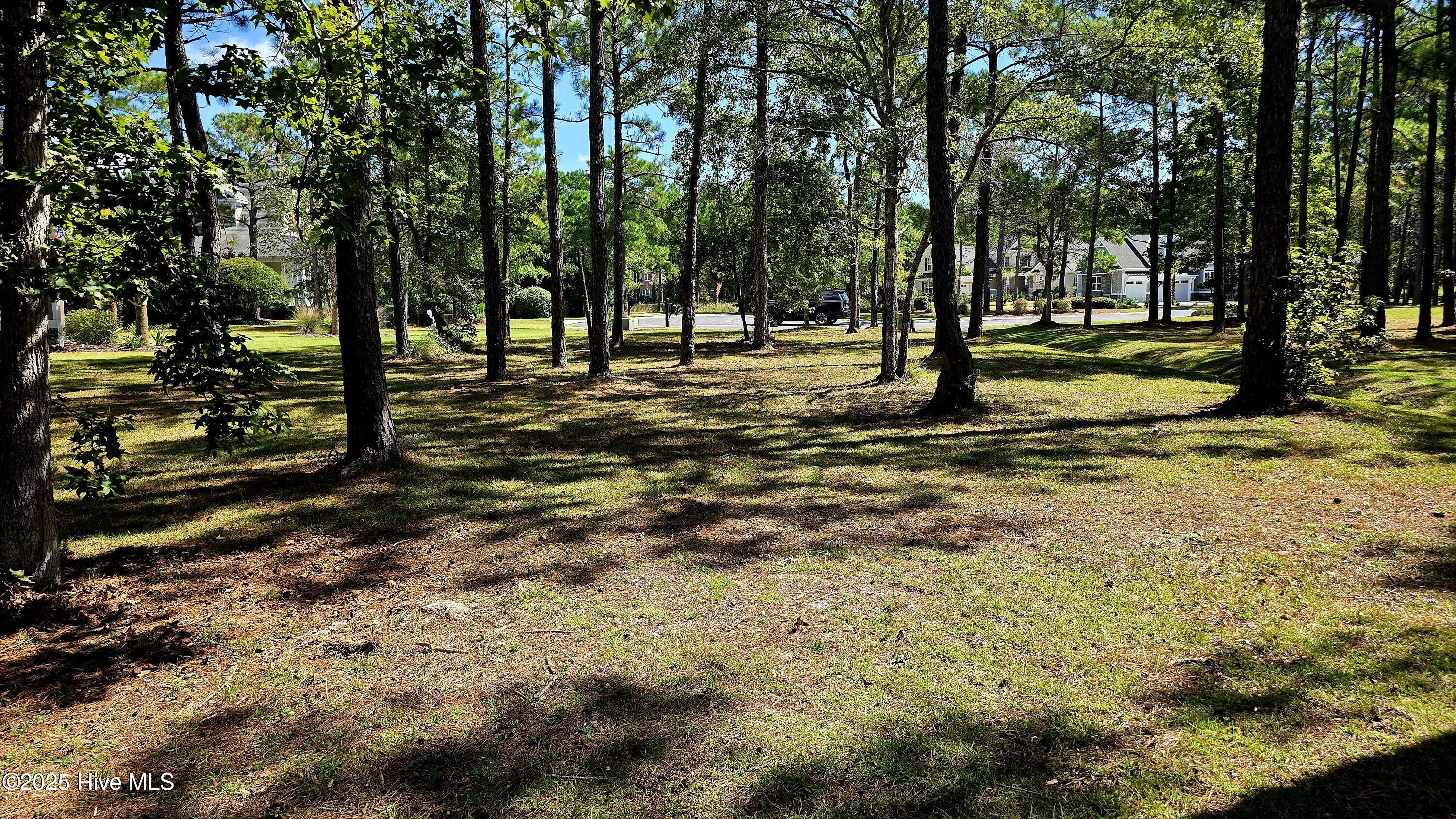 503 Cromwell Notch Southwest Ocean Isle Beach, NC 28469 - Photo 6 of 16 View of the lot.