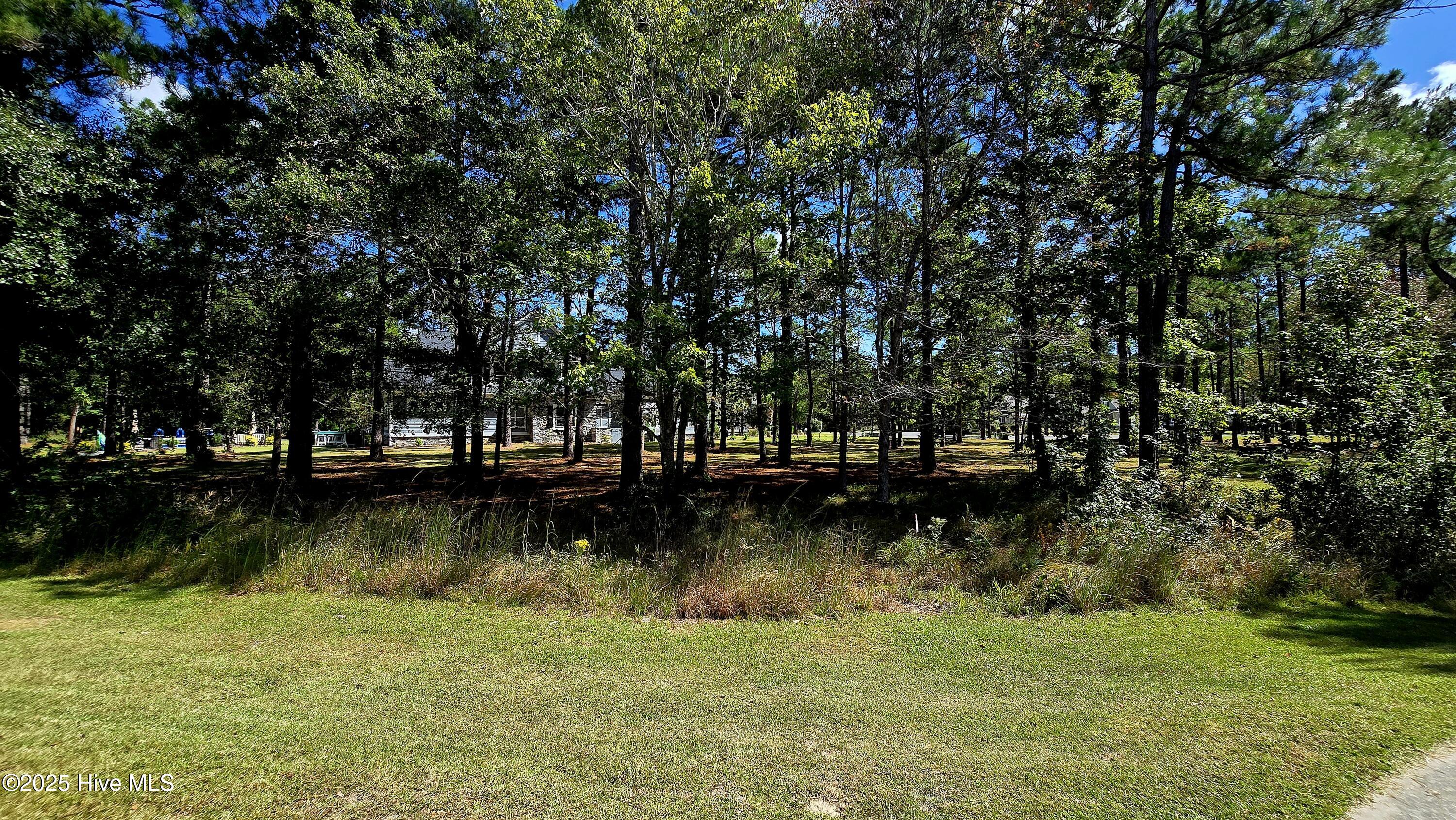 503 Cromwell Notch Southwest Ocean Isle Beach, NC 28469 - Photo 8 of 16 View of the lot standing at the rear side.