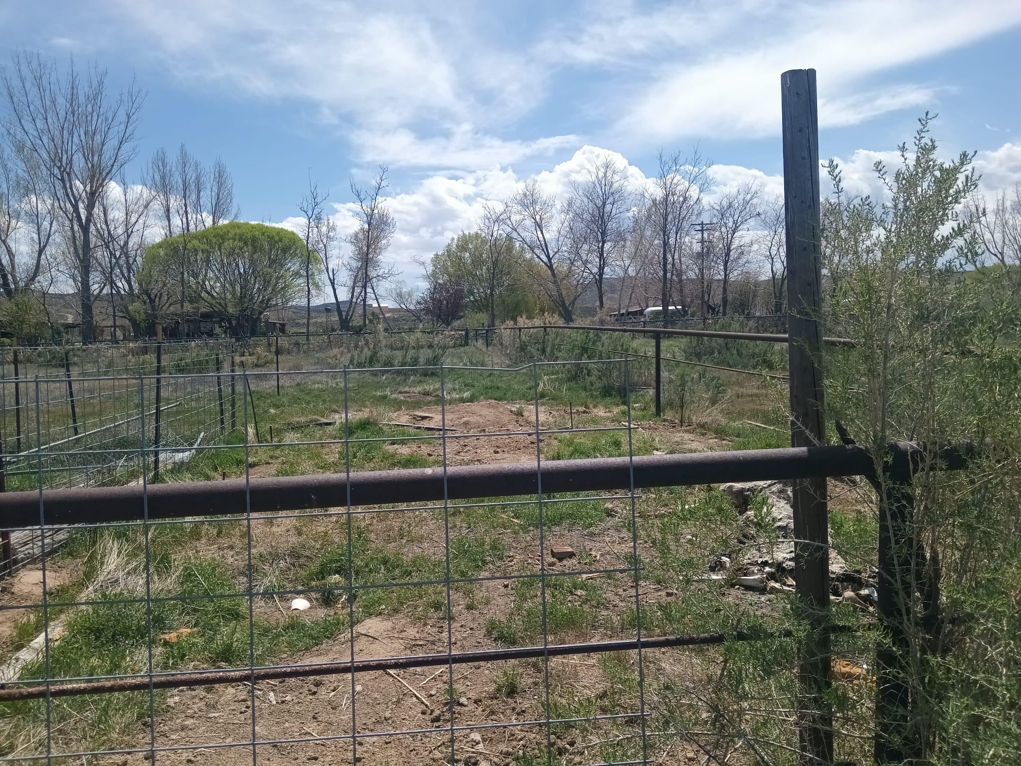 80 County Road 101 Rangely, CO 81648 - Photo 16 of 16