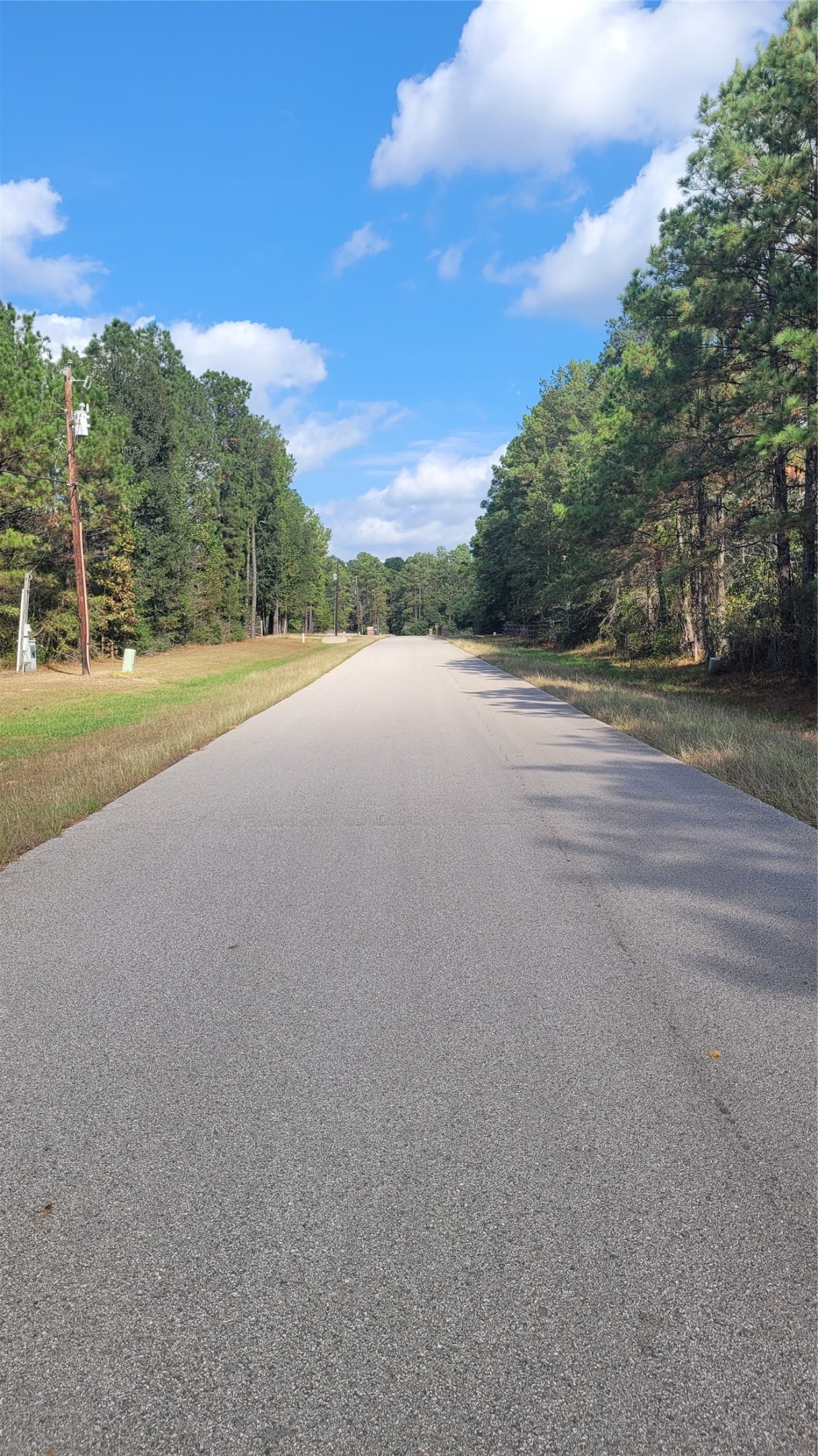 0 Hindo Conroe, TX 77303 - Photo 3 of 7
