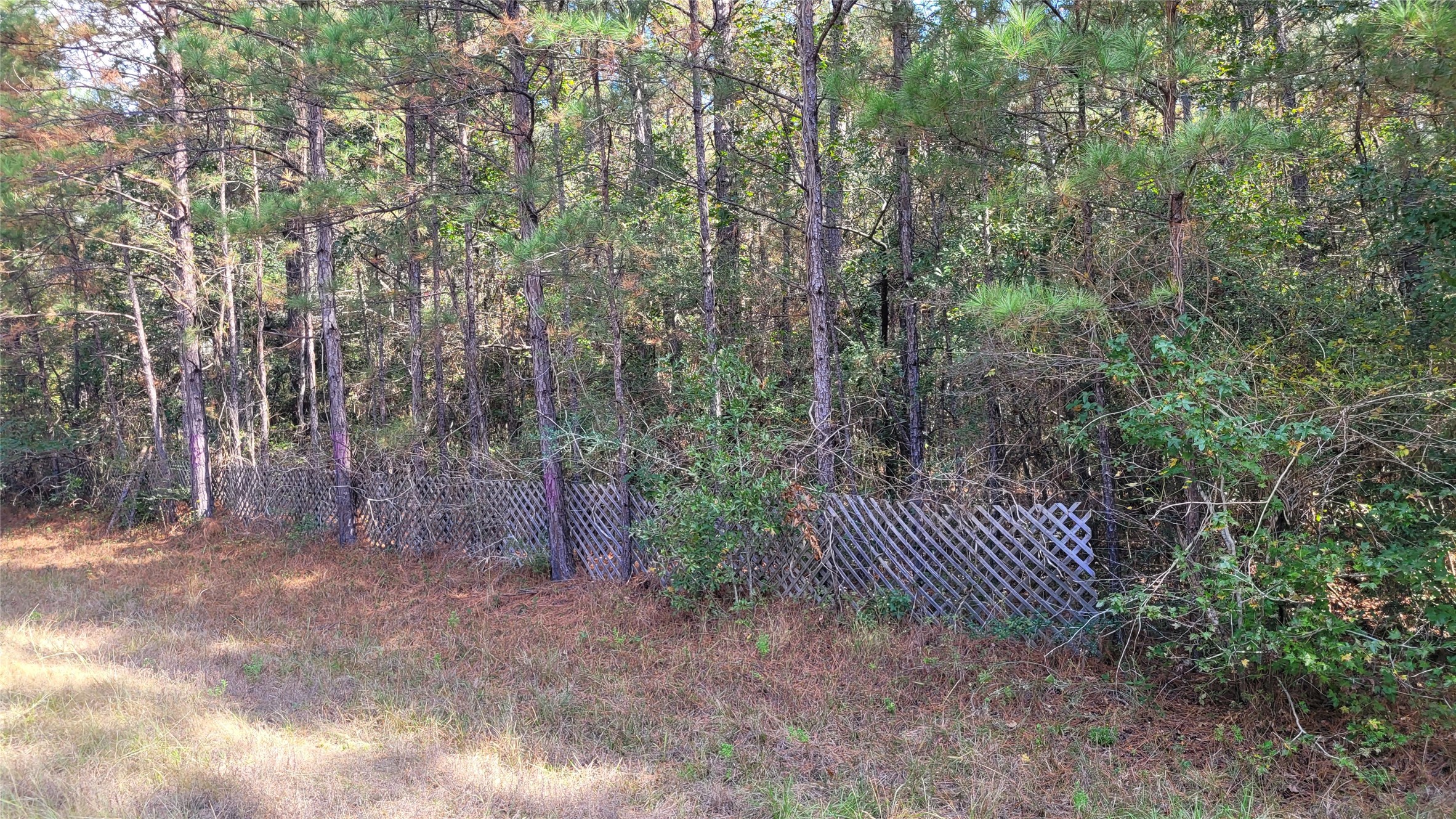 0 Hindo Conroe, TX 77303 - Photo 4 of 7
