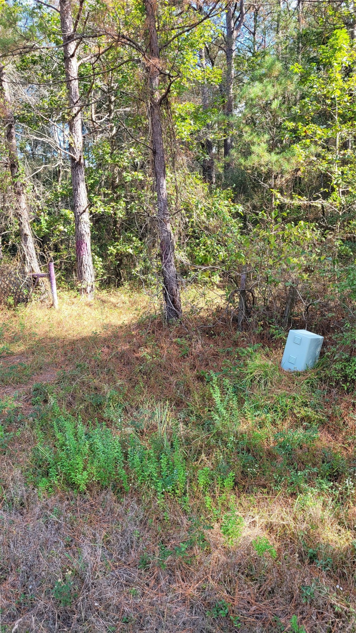 0 Hindo Conroe, TX 77303 - Photo 5 of 7