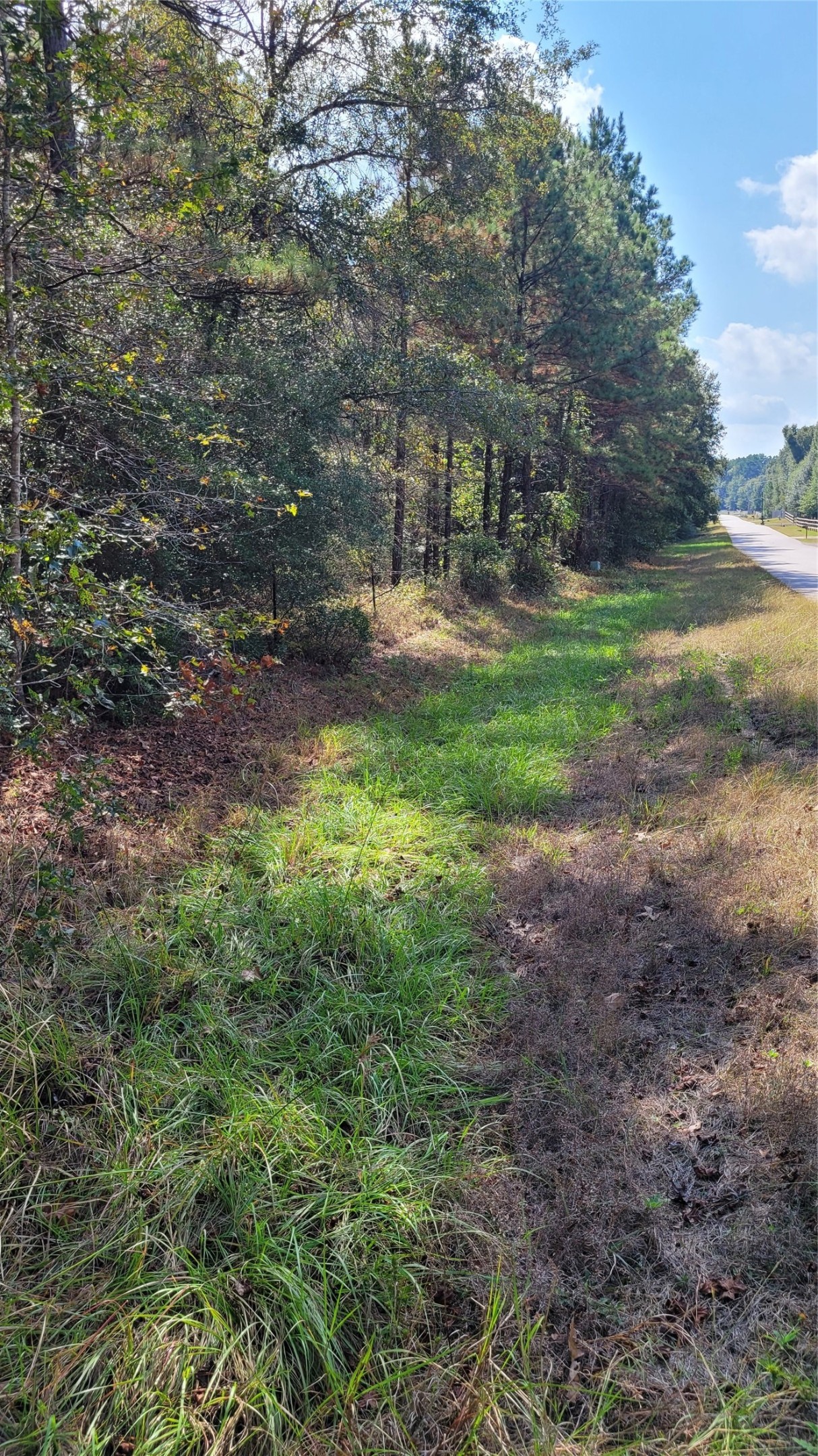 0 Hindo Conroe, TX 77303 - Photo 7 of 7