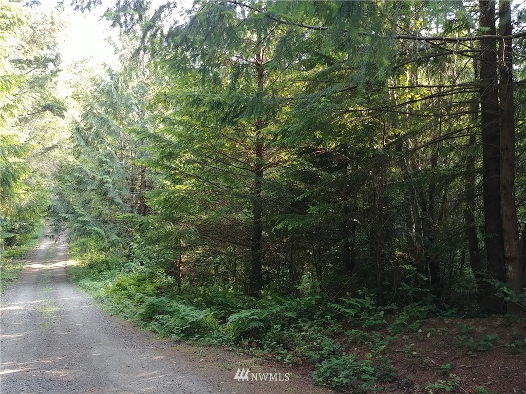 4461 Southeast Nelson Road Olalla, WA 98359 - Photo 1 of 1 Gallery Image 1