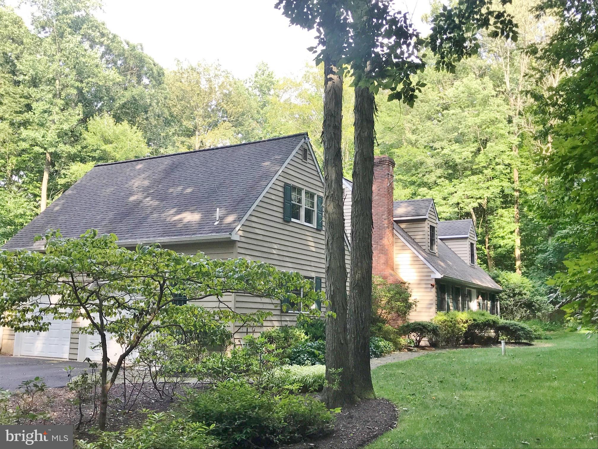 Hidden Gem tucked into the woods