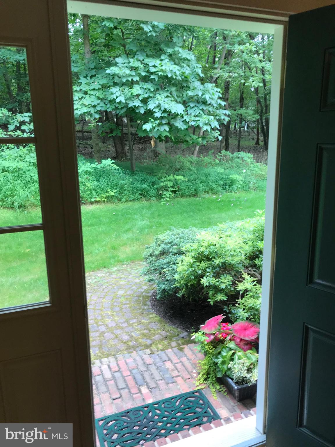 Front door Wooded View and brick walk