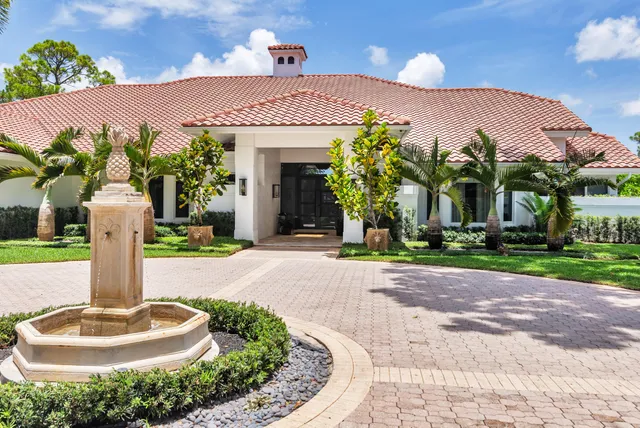 a view of a street with a large tree