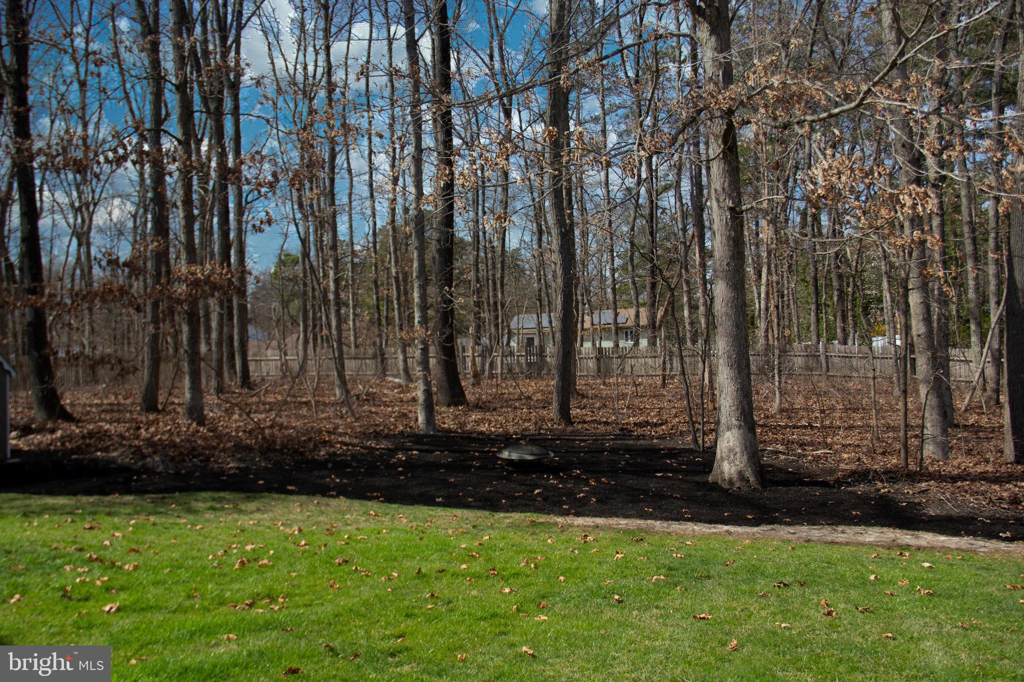 20 Red Fox Trail Sicklerville, NJ 08081 - Photo 11 of 64