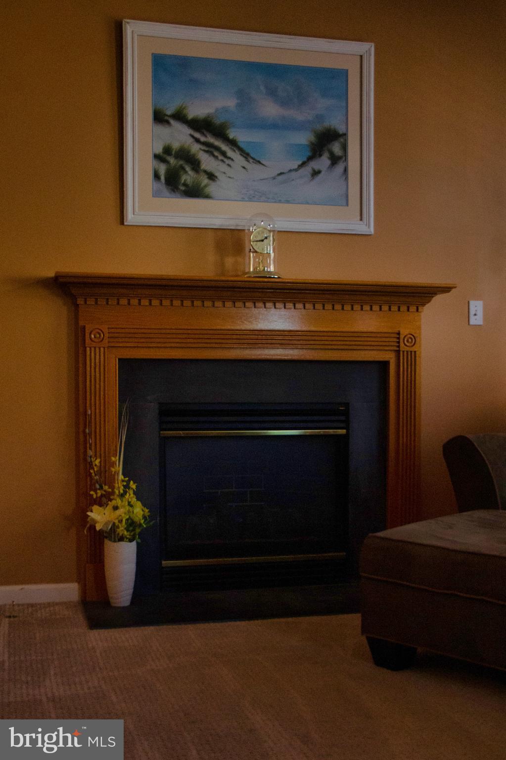 20 Red Fox Trail Sicklerville, NJ 08081 - Photo 34 of 64 Family room Gas fireplace