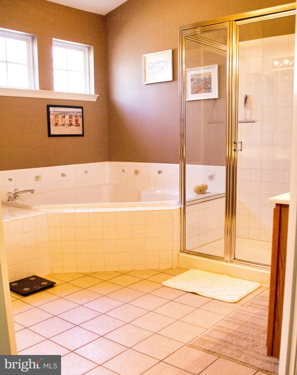 20 Red Fox Trail Sicklerville, NJ 08081 - Photo 43 of 64 Master bath