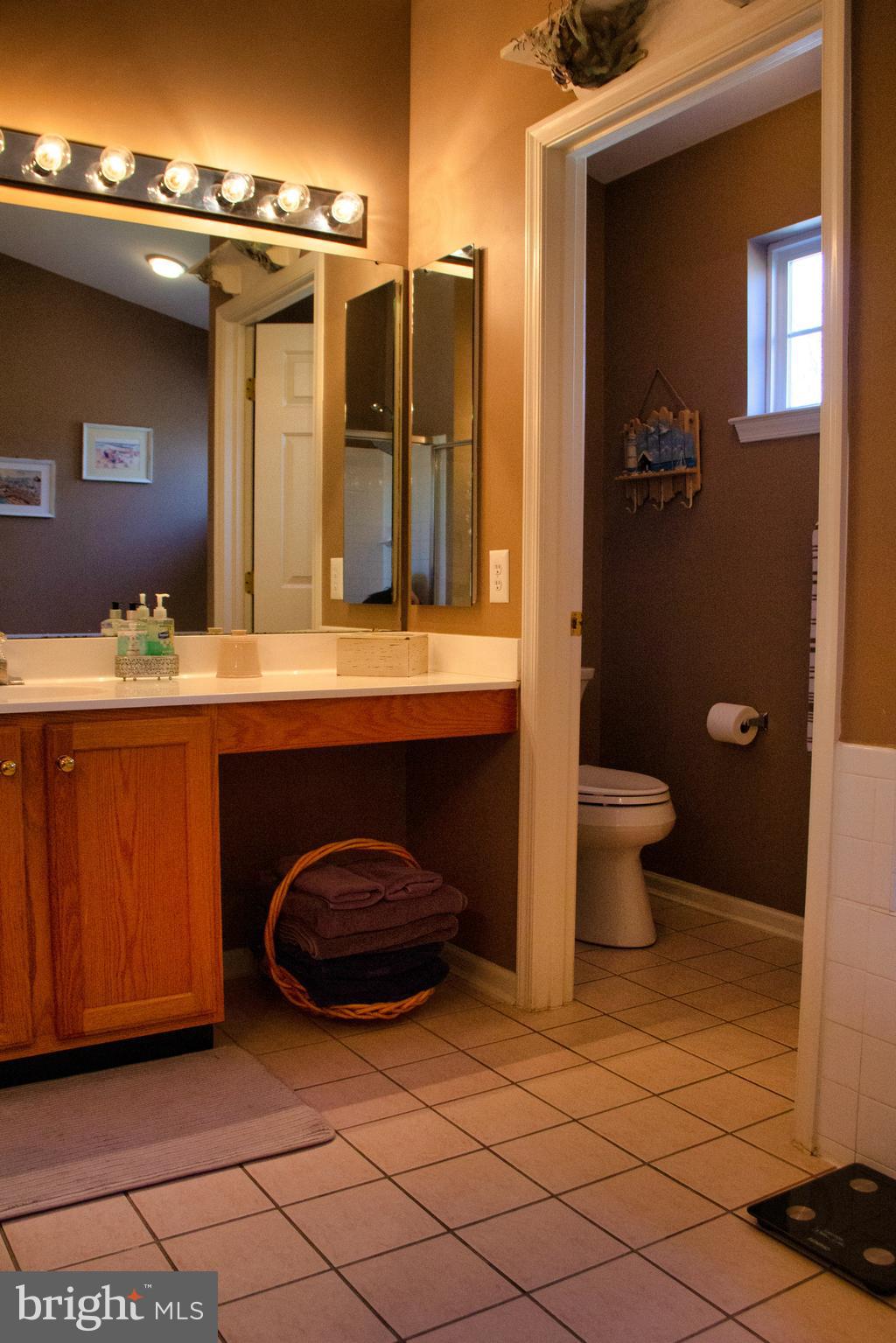 20 Red Fox Trail Sicklerville, NJ 08081 - Photo 44 of 64 Master bath