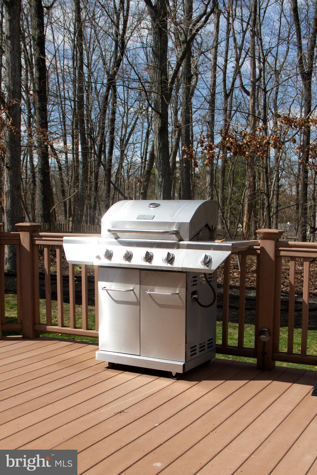 20 Red Fox Trail Sicklerville, NJ 08081 - Photo 6 of 64 Deck and back yard