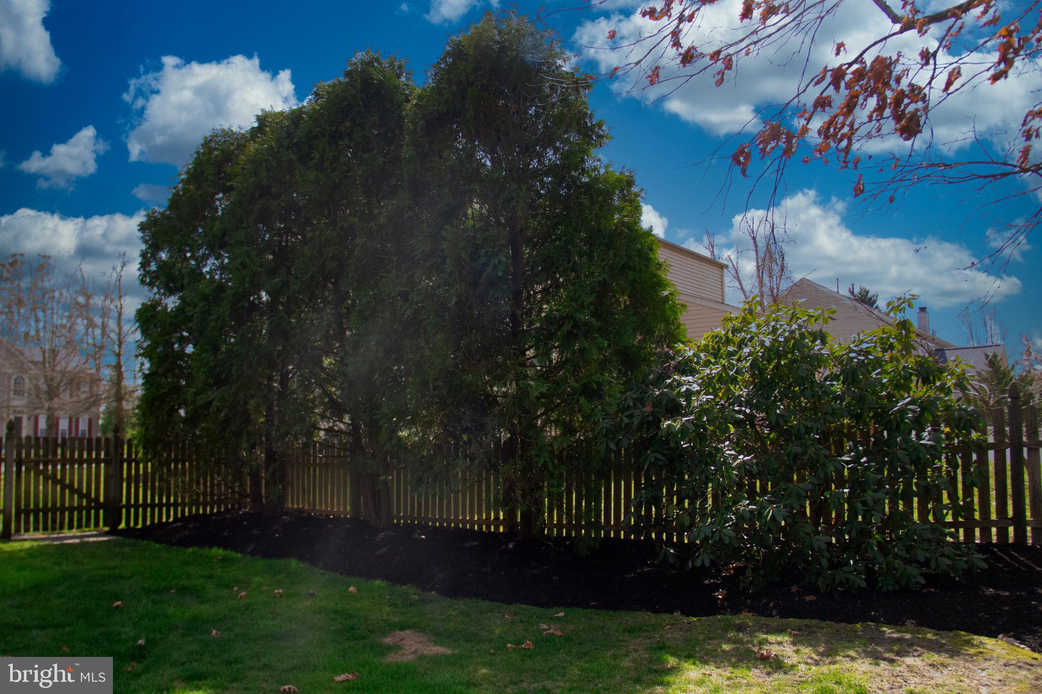 20 Red Fox Trail Sicklerville, NJ 08081 - Photo 8 of 64