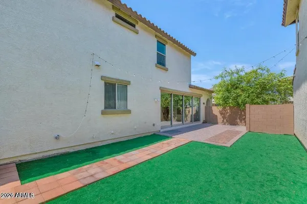 a view of a backyard with plants and large trees
