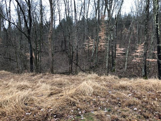 Moffett Road Morning View, KY 41063 - Photo 13 of 22