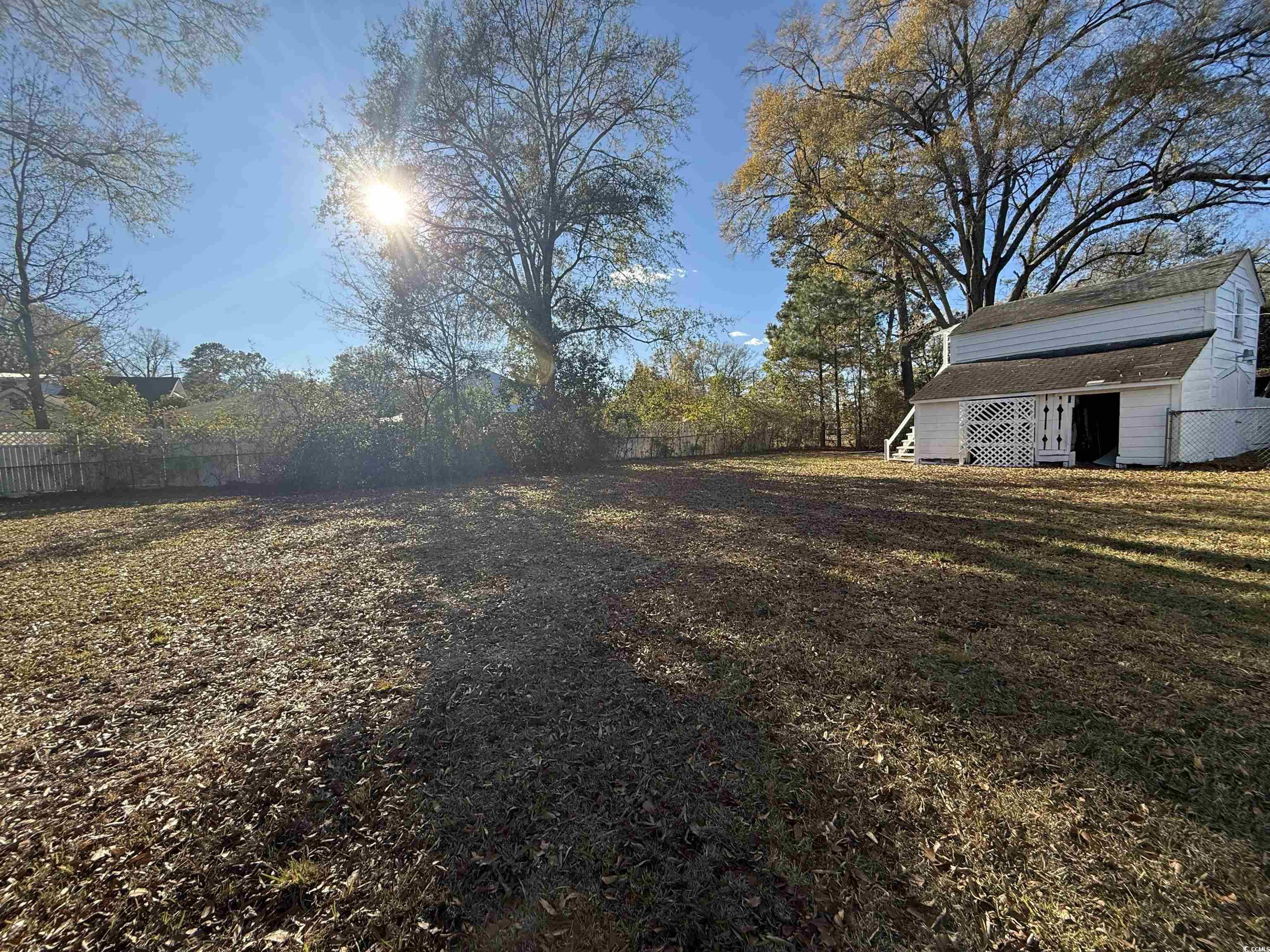 305 East Bamberg Street Latta, SC 29565 - Photo 2 of 13 View of yard with an outdoor structure