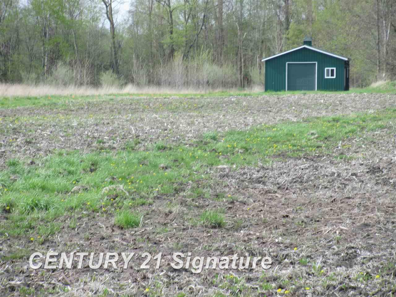 13800 Spencer Road Hemlock, MI 48626 - Photo 4 of 15