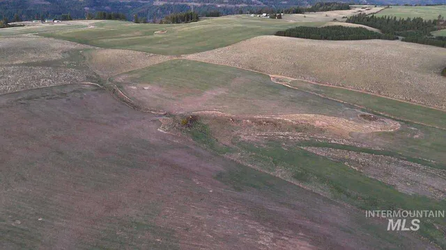 $390,000 | 60 Acre Parcel Orofino Id 83544, Orofino, ID 83544