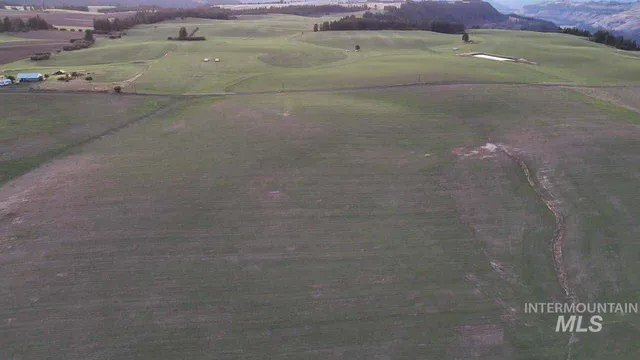 $390,000 | 60 Acre Parcel Orofino Id 83544, Orofino, ID 83544