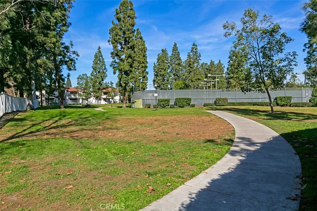 a view of a park with large trees