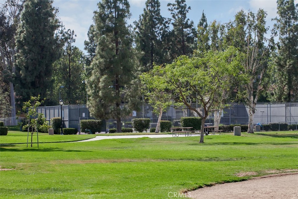 24459 Howes Drive Laguna Niguel, CA 92677 - Photo 28 of 33 a view of a park with large trees