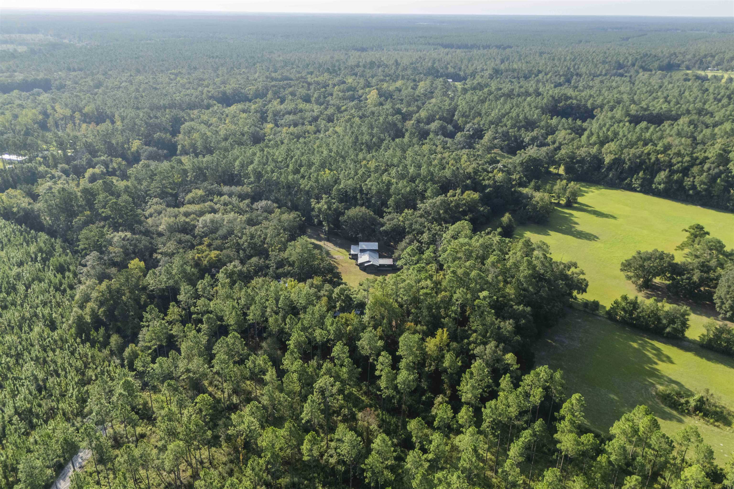 4238 Natural Bridge Road Tallahassee, FL 32305 - Photo 68 of 70 Gallery Image 68