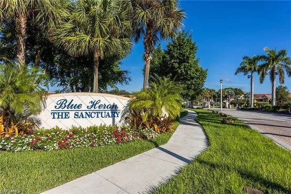 a view of a park with plants and trees