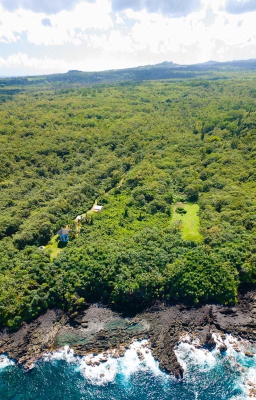 47 Government Beach Road Pahoa, HI 96778 - Photo 11 of 11 a view of a garden with an outdoor space