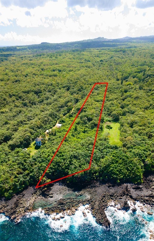 47 Government Beach Road Pahoa, HI 96778 - Photo 3 of 11 a view of a green field with lots of trees