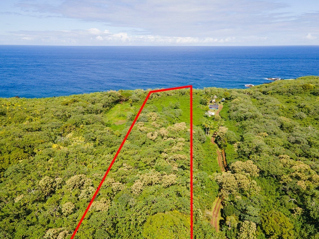 47 Government Beach Road Pahoa, HI 96778 - Photo 4 of 11 a view of an ocean