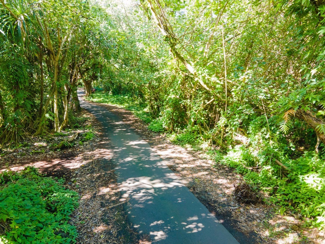 47 Government Beach Road Pahoa, HI 96778 - Photo 5 of 11 a backyard of a house with lots of green space