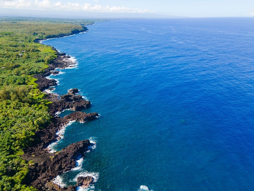 47 Government Beach Road Pahoa, HI 96778 - Photo 8 of 11 an aerial view of a house with a ocean view
