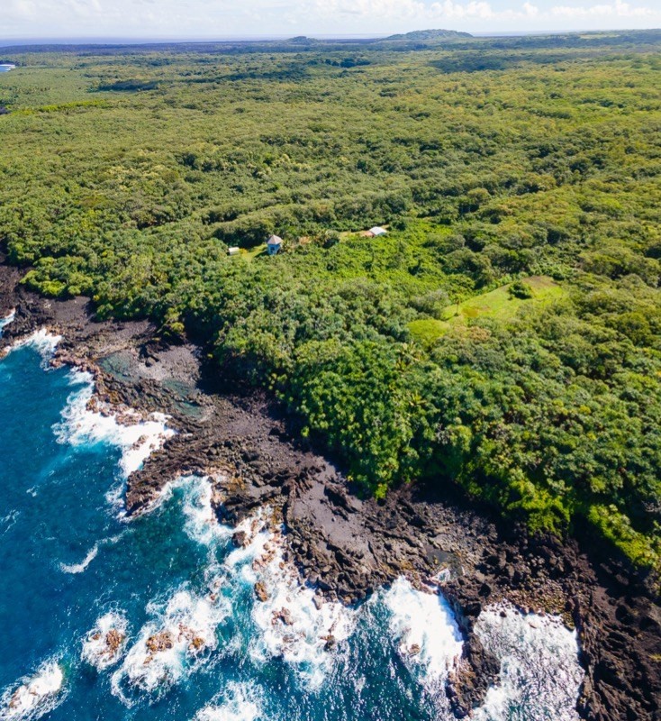 47 Government Beach Road Pahoa, HI 96778 - Photo 10 of 11 a view of a field with plants and large trees