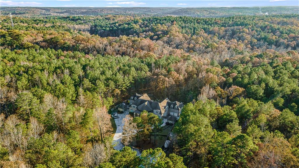 9830 Cedar Grove Road Fairburn, GA 30213 - Photo 55 of 55 an aerial view of a houses with a yard