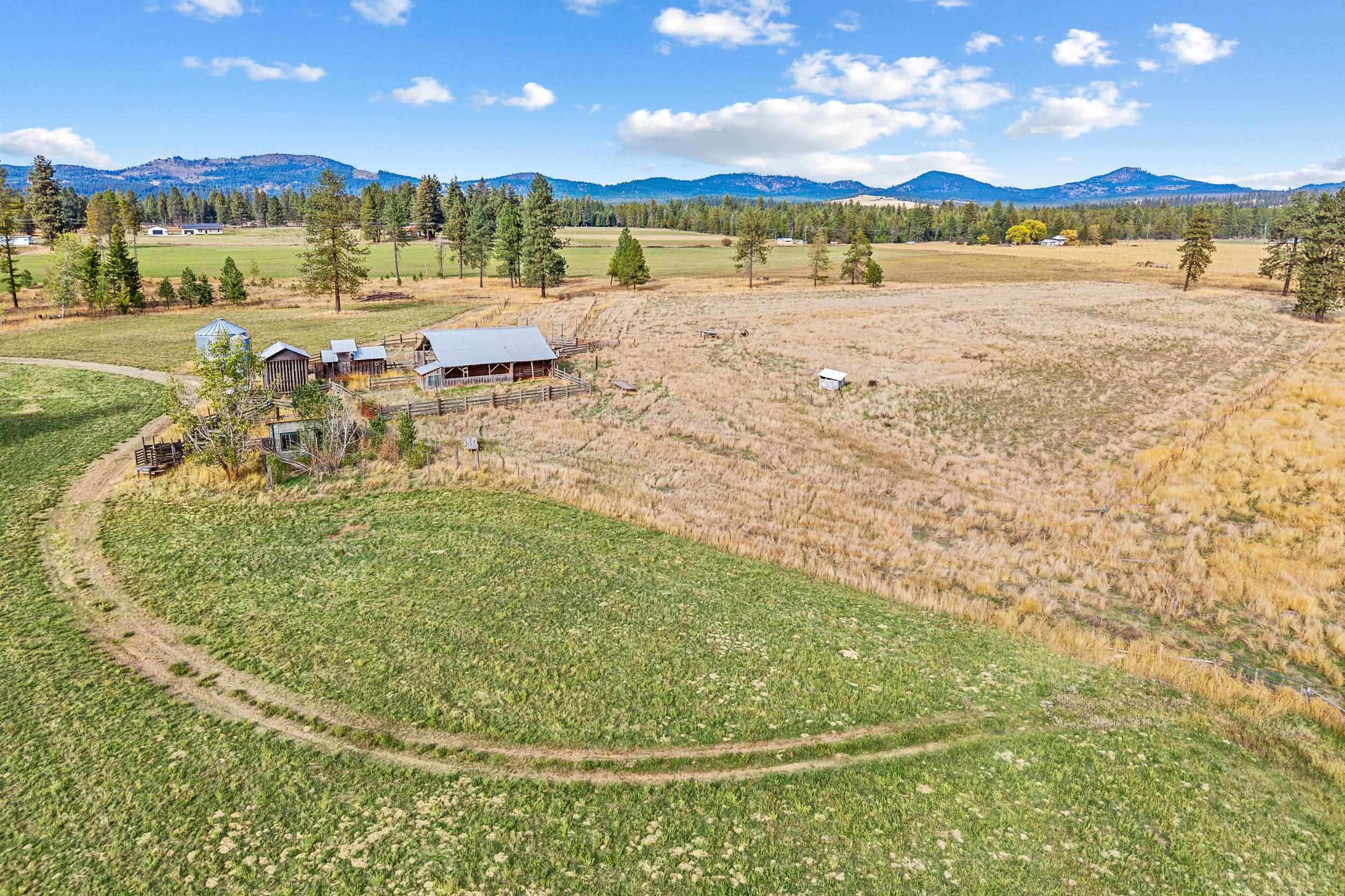 11512 East Bridges Road Elk, WA 99009 - Photo 39 of 50 Gallery Image 39