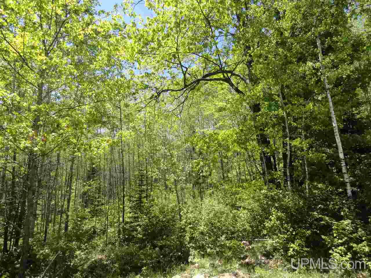 40 Two 2 Mile Creek Road Channing, MI 49815 - Photo 7 of 15