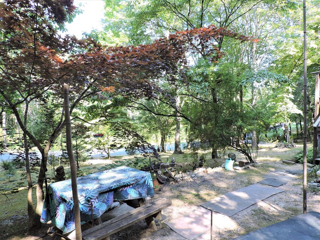 253 Wilder Road Spring City, TN 37381 - Photo 15 of 18 a view of backyard with tree