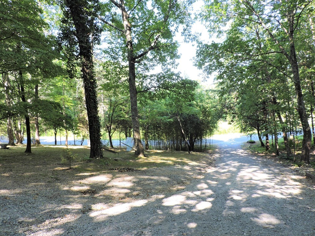 253 Wilder Road Spring City, TN 37381 - Photo 17 of 18 a view of road with trees