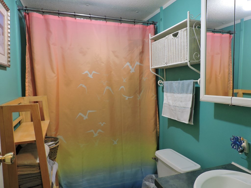 253 Wilder Road Spring City, TN 37381 - Photo 6 of 18 a bathroom with a toilet and a sink