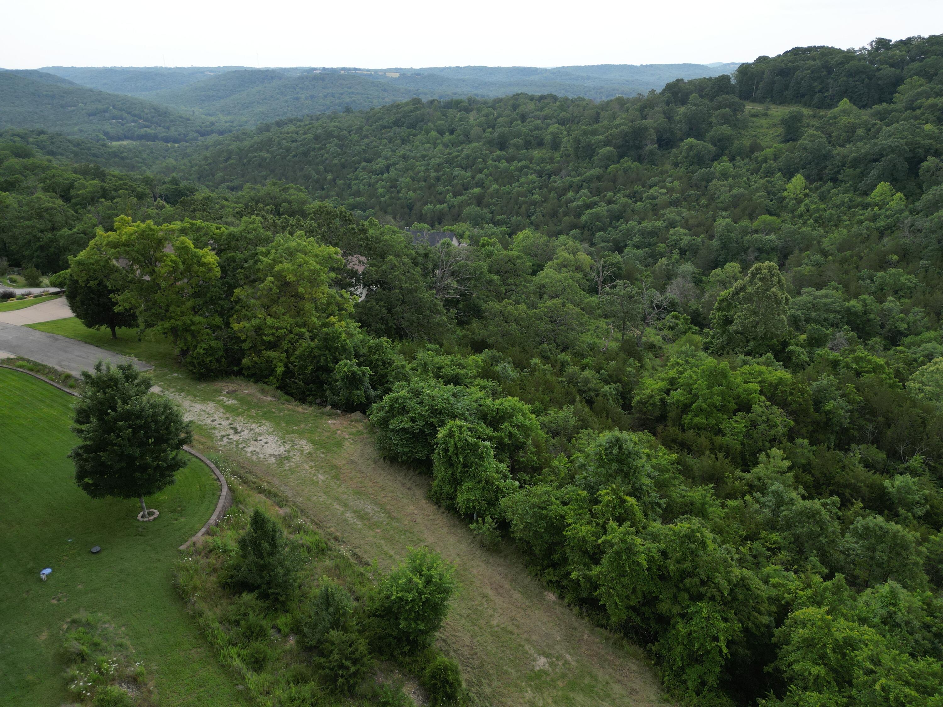259 Jacks Hollow Road Walnut Shade, MO 65771 - Photo 9 of 20 dji_fly_20250611_165714_289_174969577340