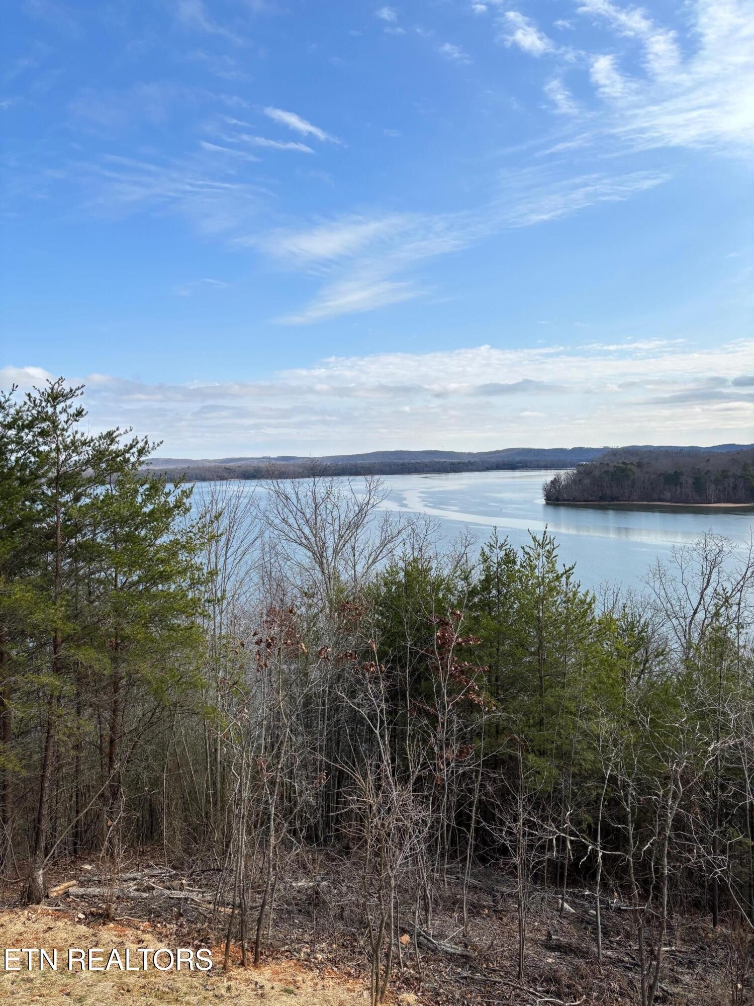 295 River Run Trail Spring City, TN 37381 - Photo 17 of 26