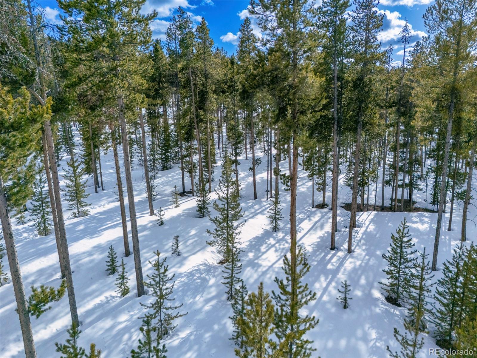 90 5th Street Tabernash, CO 80478 - Photo 11 of 17 a view of yard