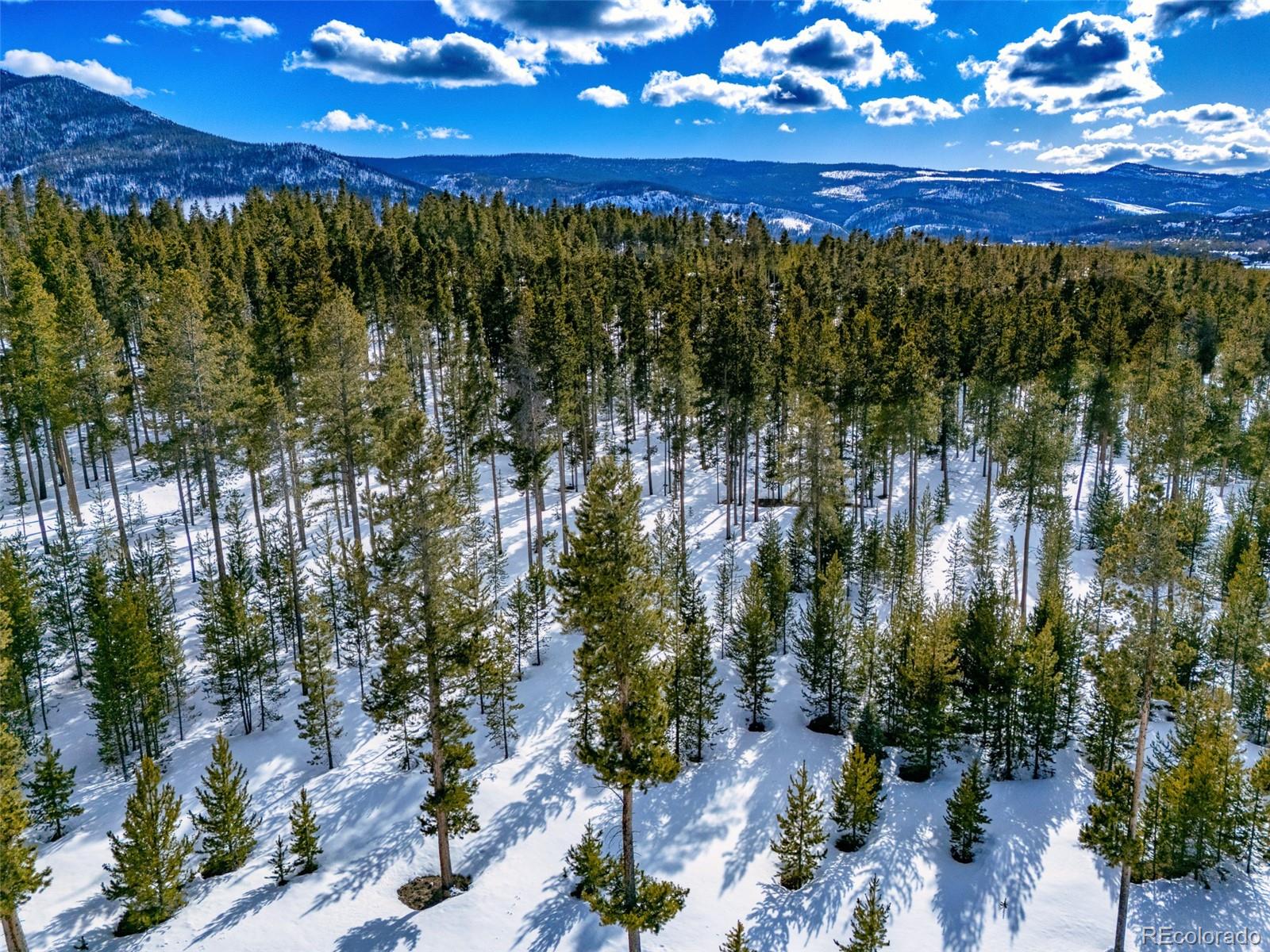 90 5th Street Tabernash, CO 80478 - Photo 9 of 17 a view of a yard