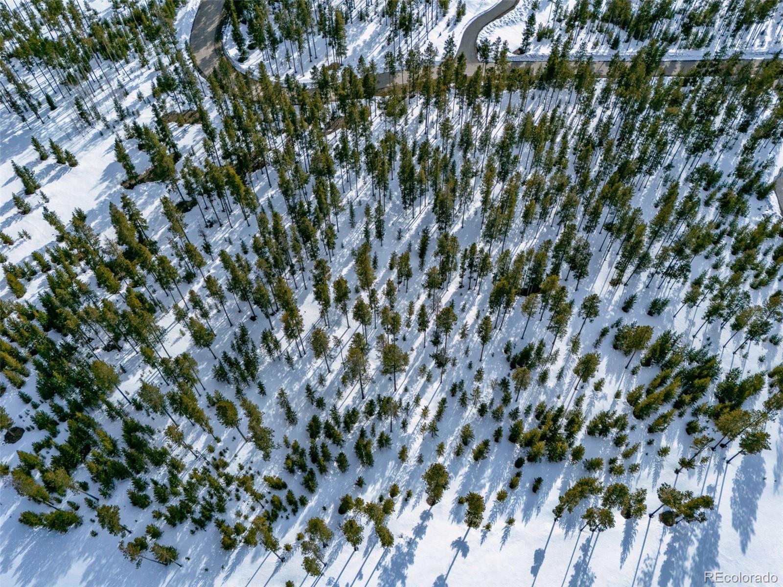 90 5th Street Tabernash, CO 80478 - Photo 10 of 17 a view of a plant