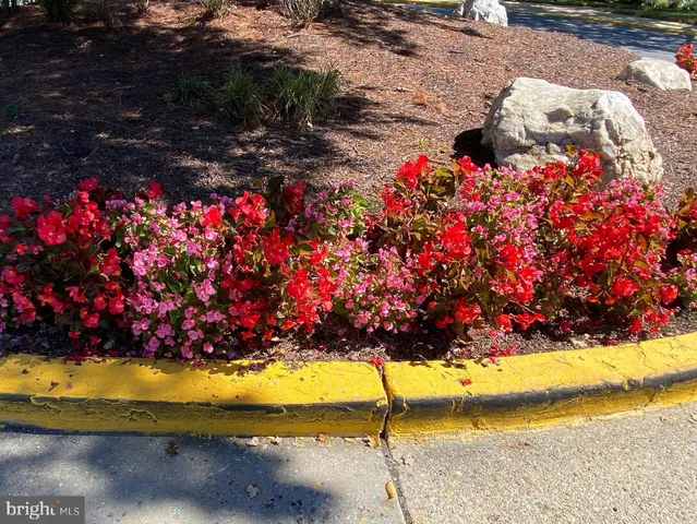 $175,000 | 6924 Hanover Parkway, Unit 101, Greenbelt, MD 20770