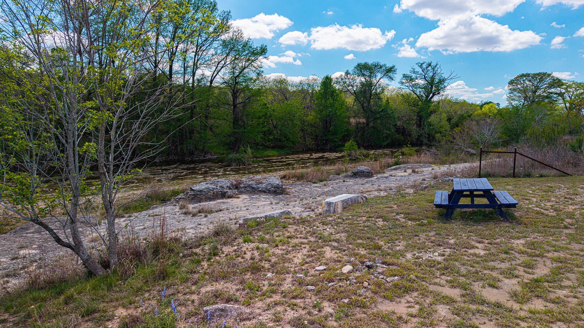 2800 River Road Wimberley, TX 78676 - Photo 35 of 40 View of yard