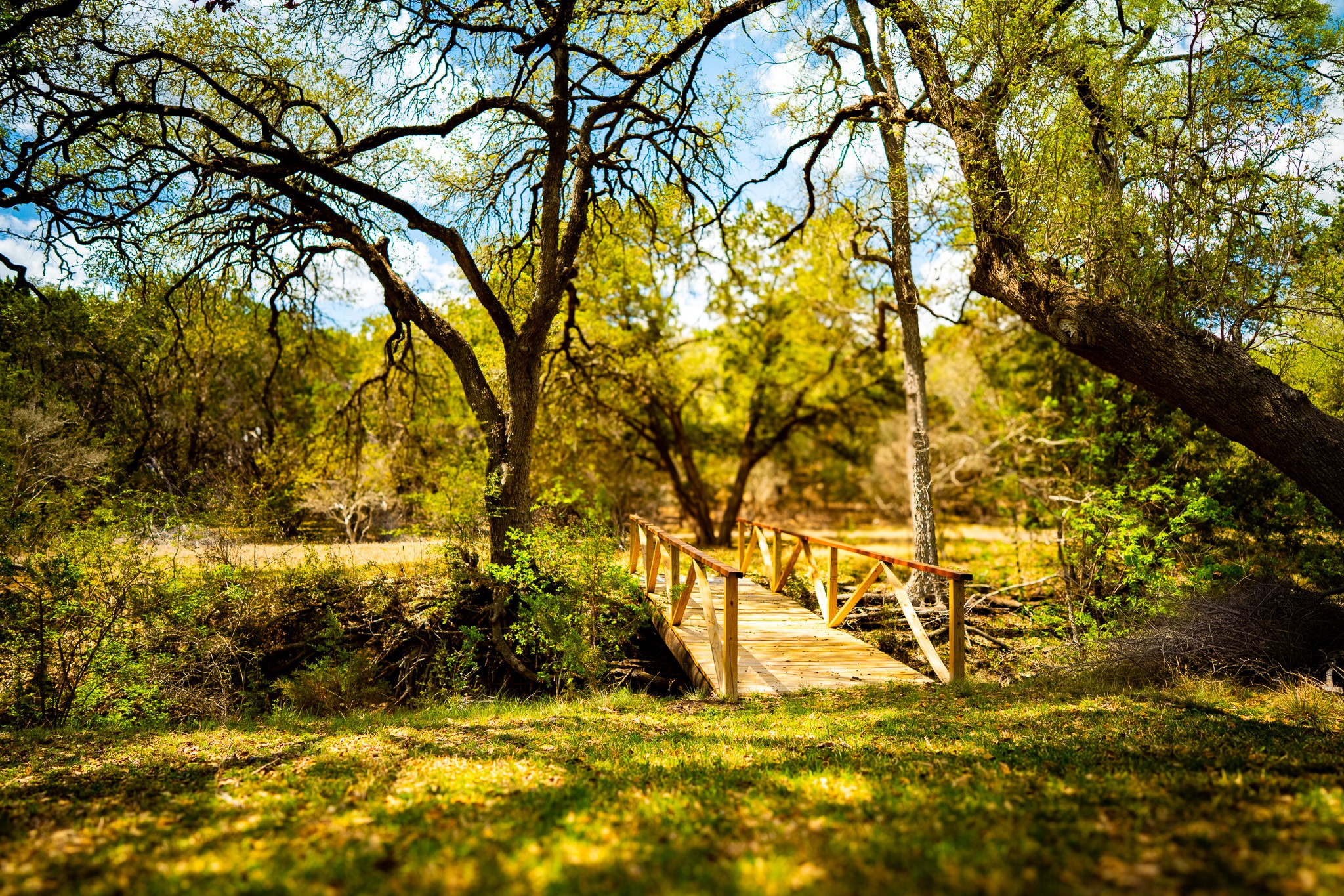 2800 River Road Wimberley, TX 78676 - Photo 9 of 38