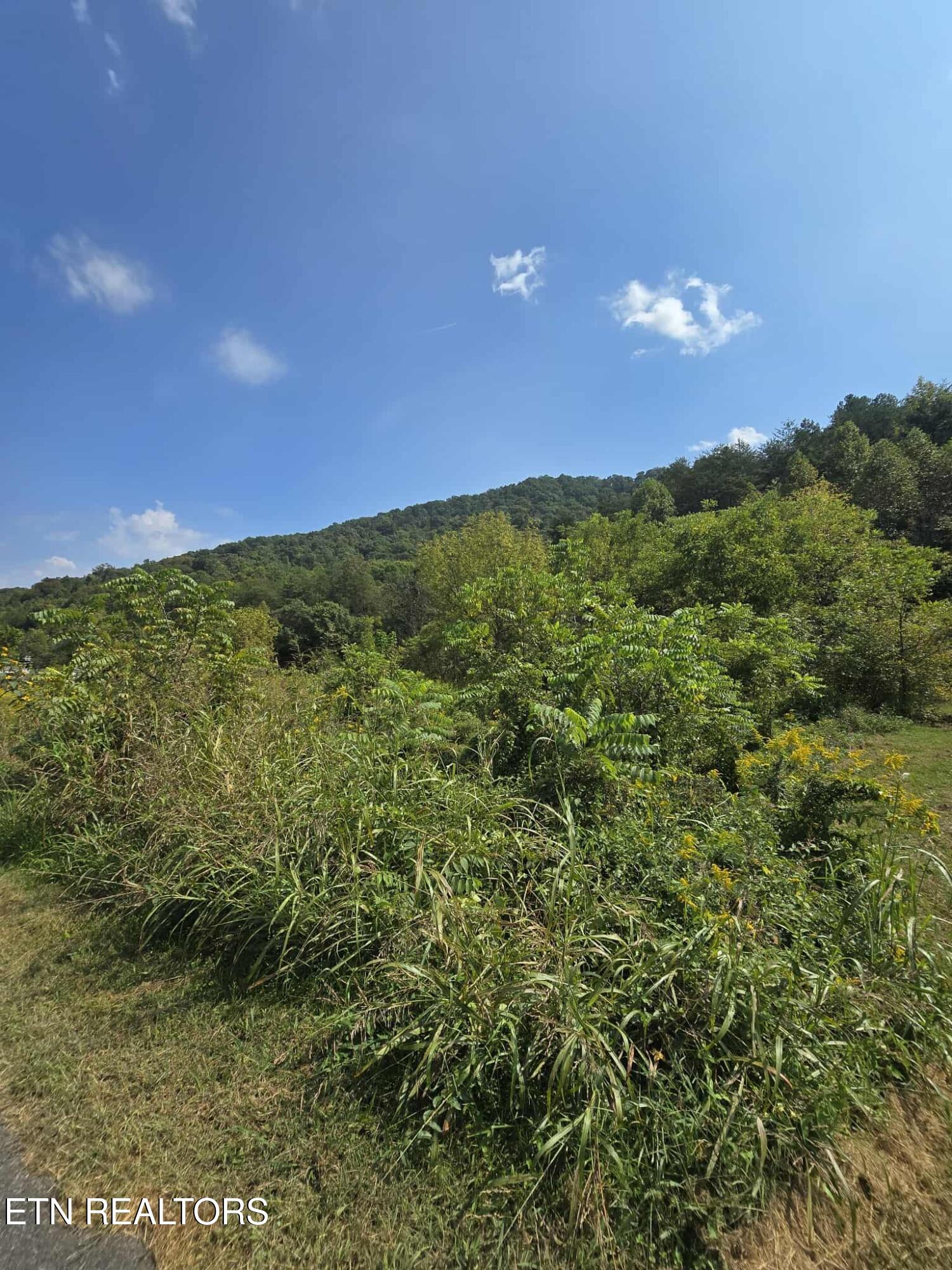 621 Butcher Valley Road Rogersville, TN 37857 - Photo 3 of 4 3d217026-14cf-4e5e-a4fe-030bd38d389d